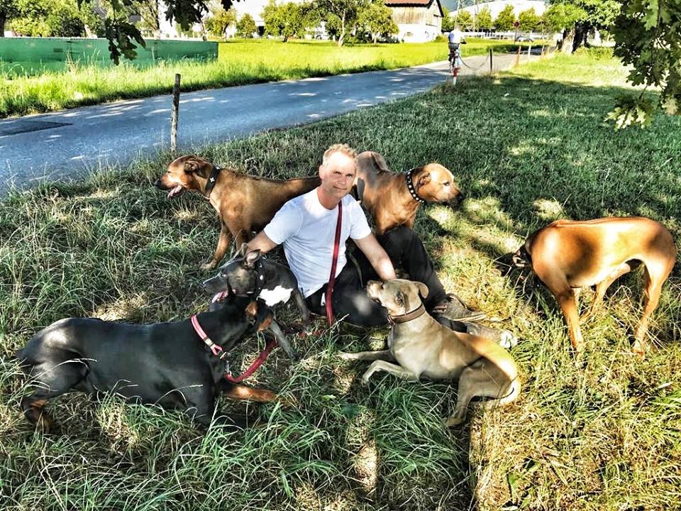 Wenn wir die Natur des Hundes verstehen wollen, ist es hilfreich, sich folgende Dinge bewusst zu machen: