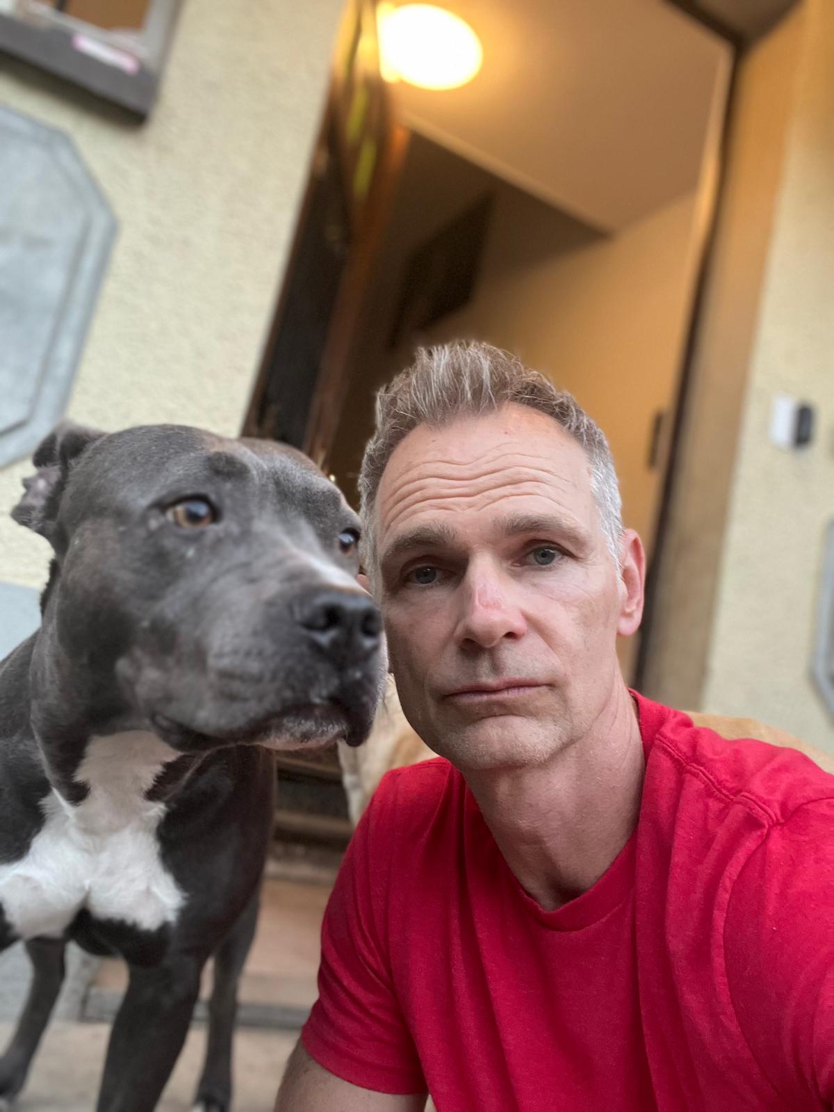 Hunde auf dem Sofa